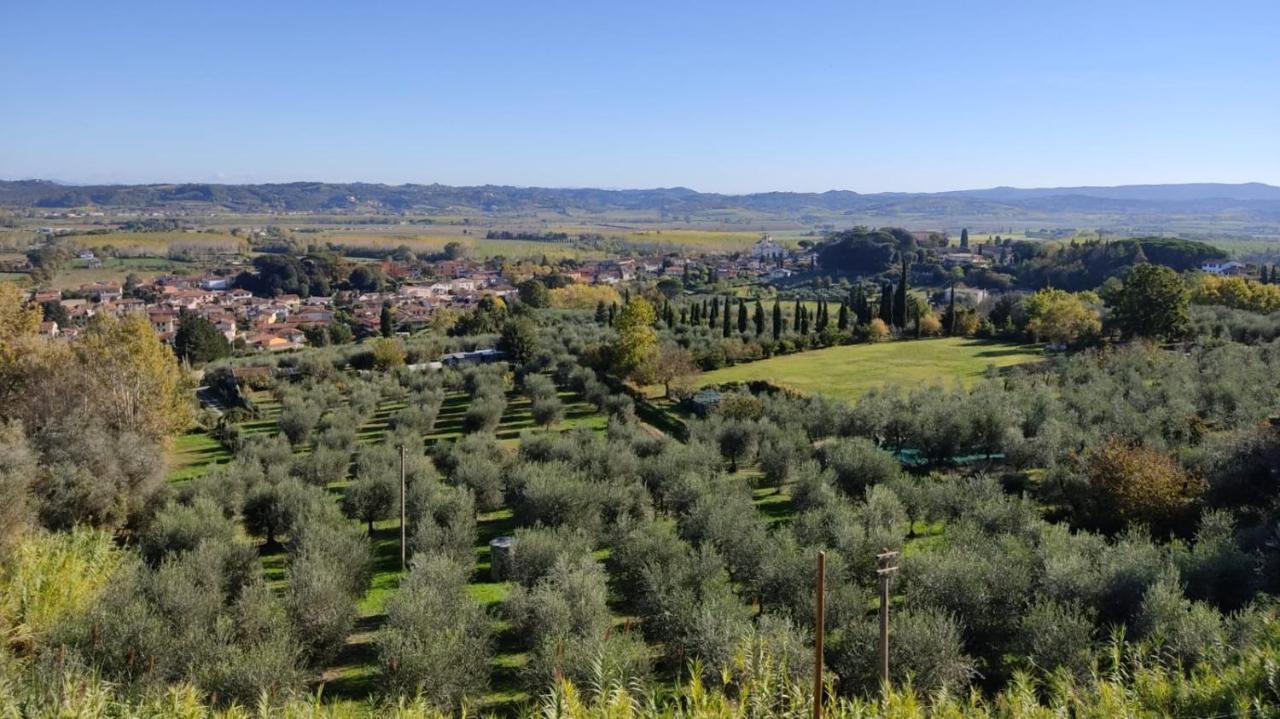카파놀리 Holiday House I Colli Pisani 아파트 외부 사진